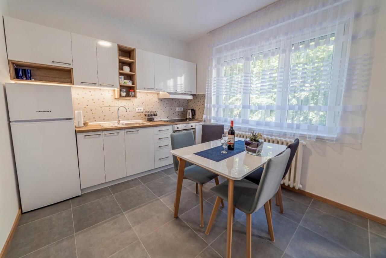 Apartman Danube Lux Νόβι Σαντ Εξωτερικό φωτογραφία